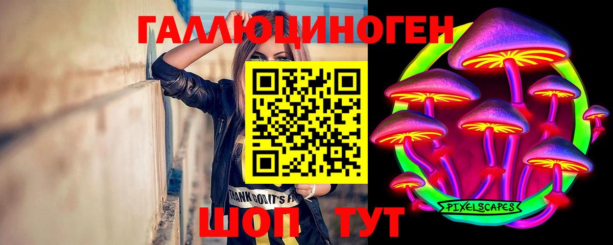 Михайловск  Псилоцибиновые грибы Cubensis  Вход с VPN 